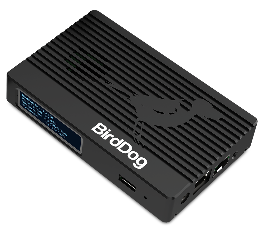 BirdDog 4K HDMI