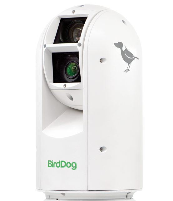 BirdDog NDI Eyes A300