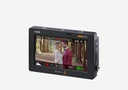 Blackmagic Video Assist 5” 12G HDR