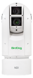 BirdDog NDI Eyes A300